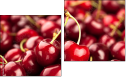Diptych