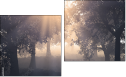 Diptych