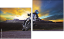 Diptych