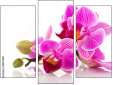 Triptych