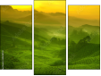 Triptych