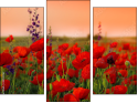Triptych