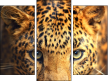 Triptych