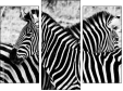 Triptych