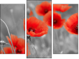 Triptych