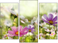 Triptych