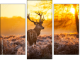 Triptych