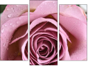 Triptych