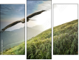 Triptych
