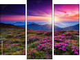 Triptych