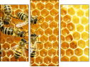 Triptych