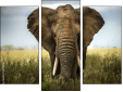 Triptych