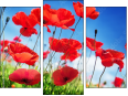 Triptych