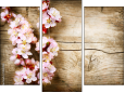 Triptych