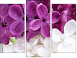 Triptych