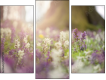 Triptych