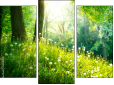 Triptych