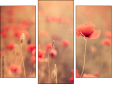 Triptych