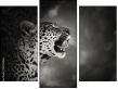 Triptych