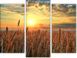 Triptych