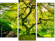 Triptych