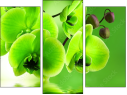 Triptych