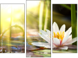 Triptych
