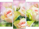 Triptych