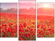 Triptych
