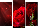 Triptych