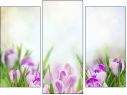 Triptych