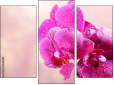 Triptych
