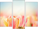 Triptych
