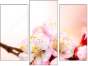 Triptych