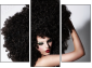 Triptych