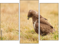 Triptych