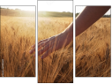Triptych