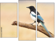 Triptych
