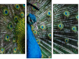 Triptych
