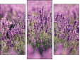 Triptych