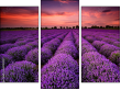 Triptych