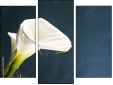 Triptych