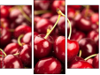 Triptych