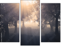 Triptych