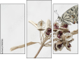 Triptych