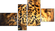 Fortyk