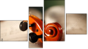 Fortyk