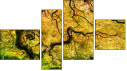 Fortyk