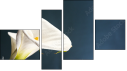 Fortyk