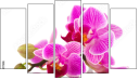 Pentaptych